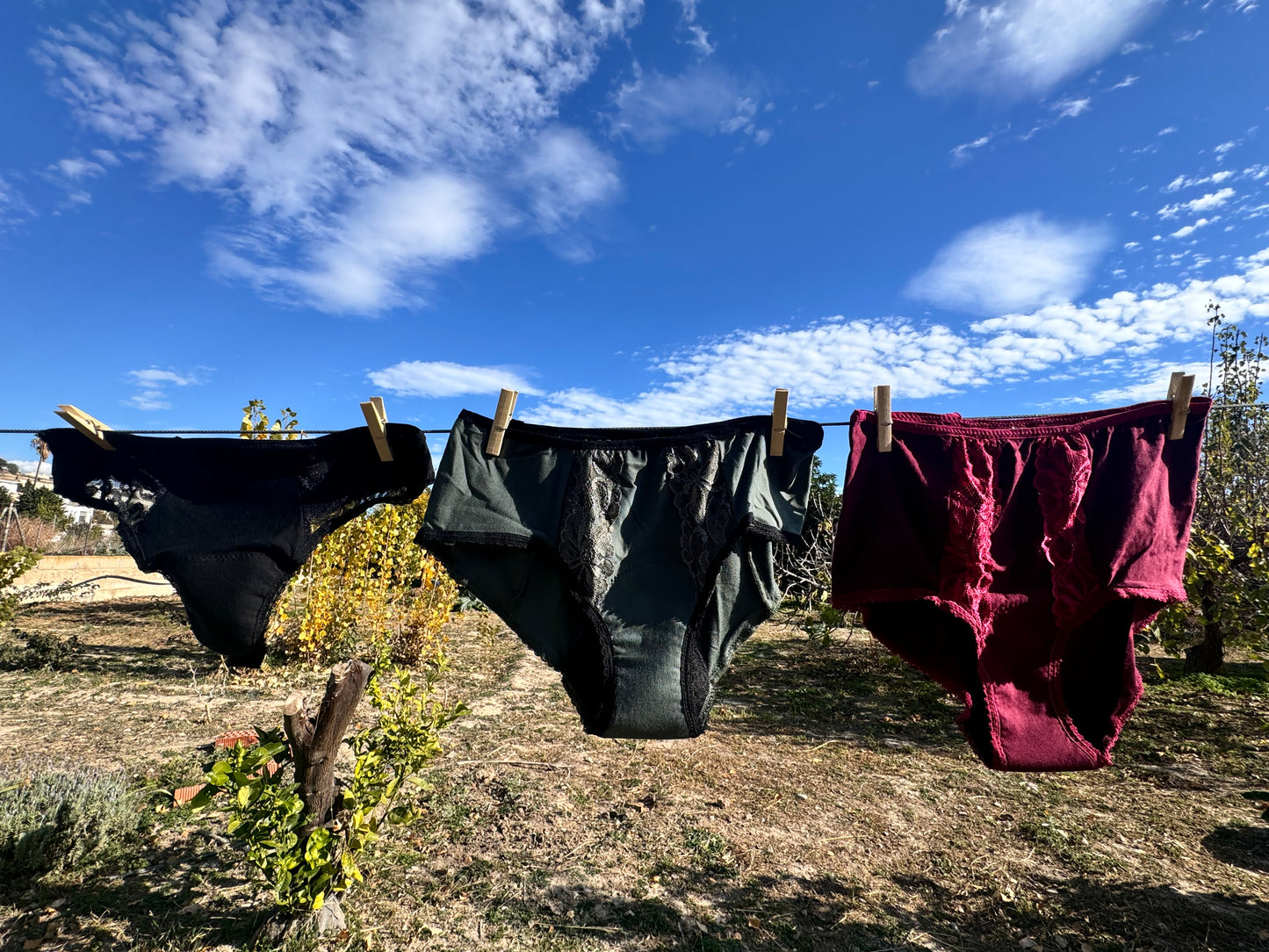 Period underwear hipster