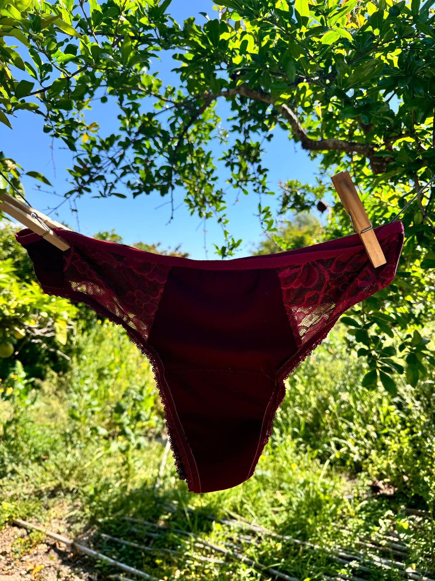 Period underwear tanga