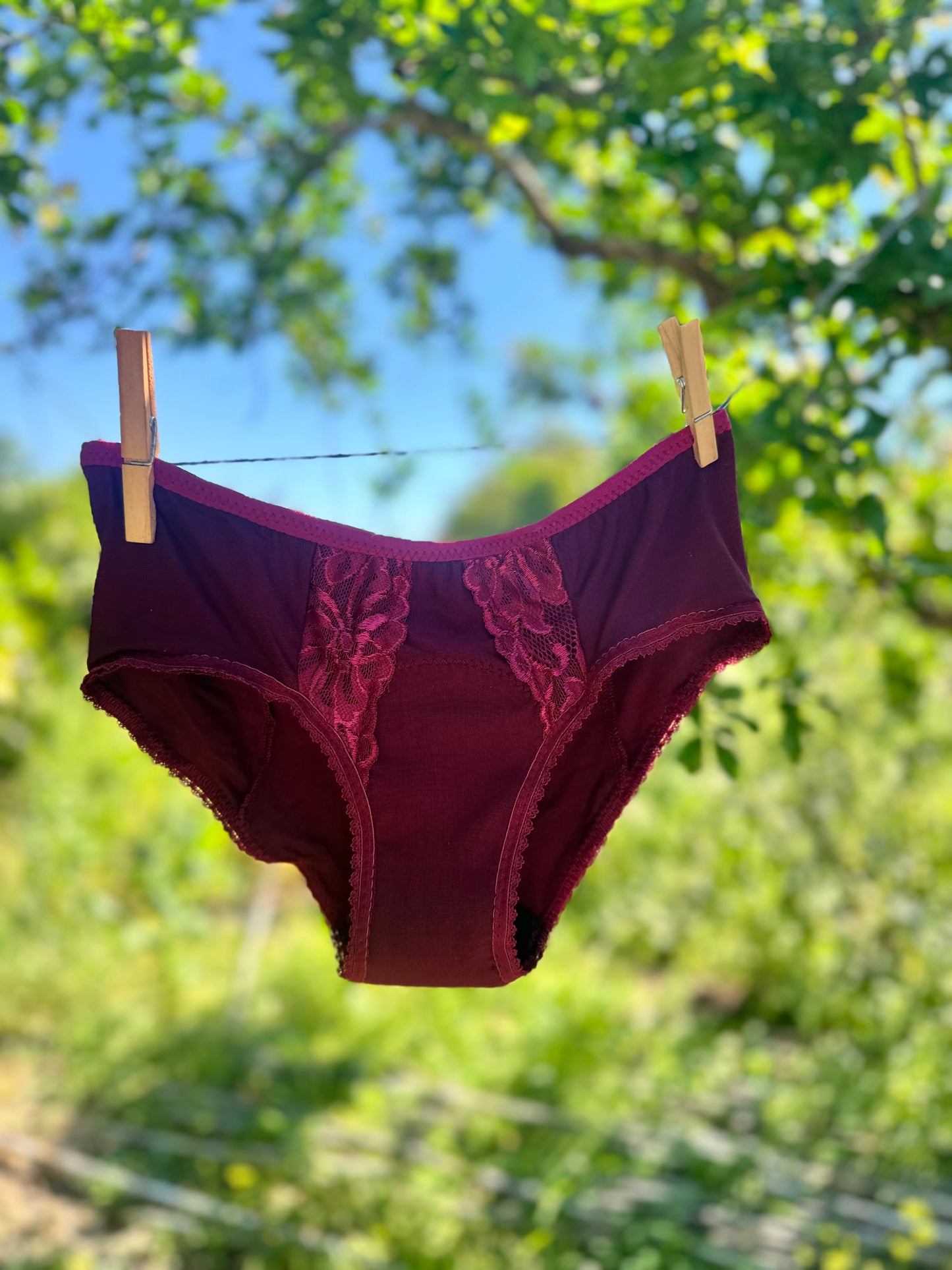 Period underwear hipster
