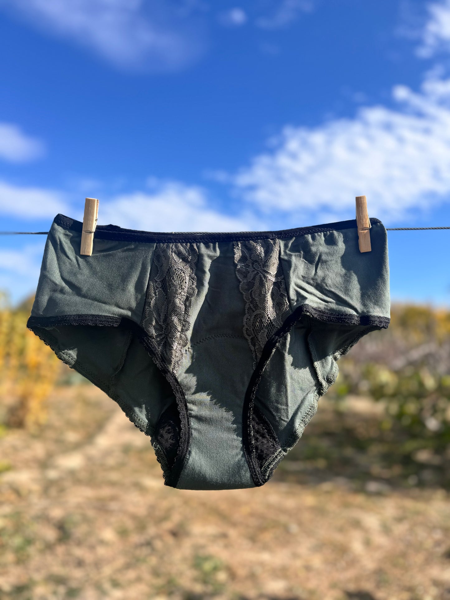 Period underwear hipster