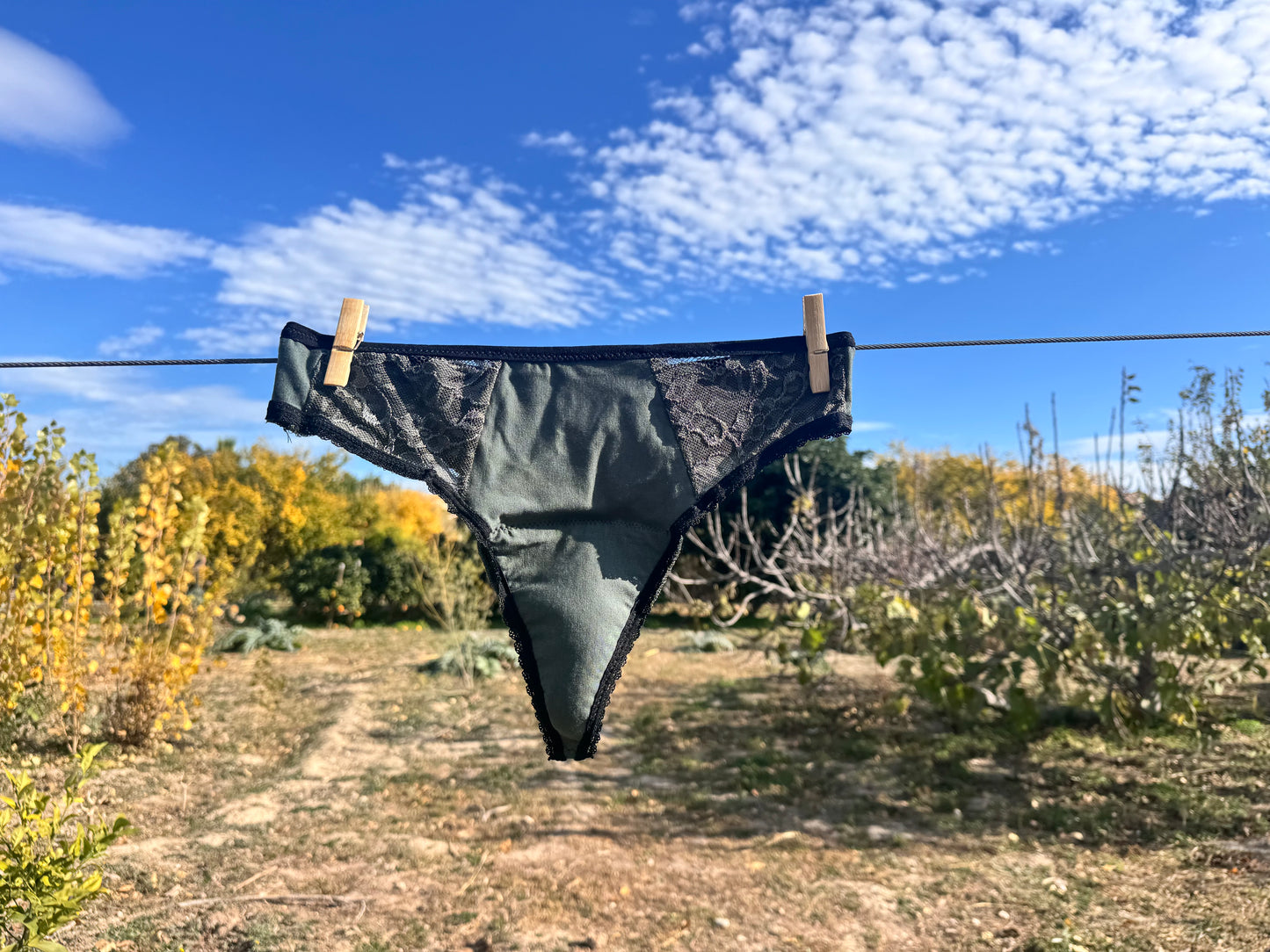 Period underwear tanga