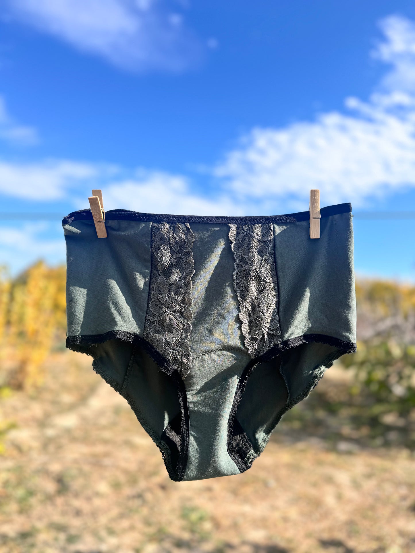 Period underwear high waist