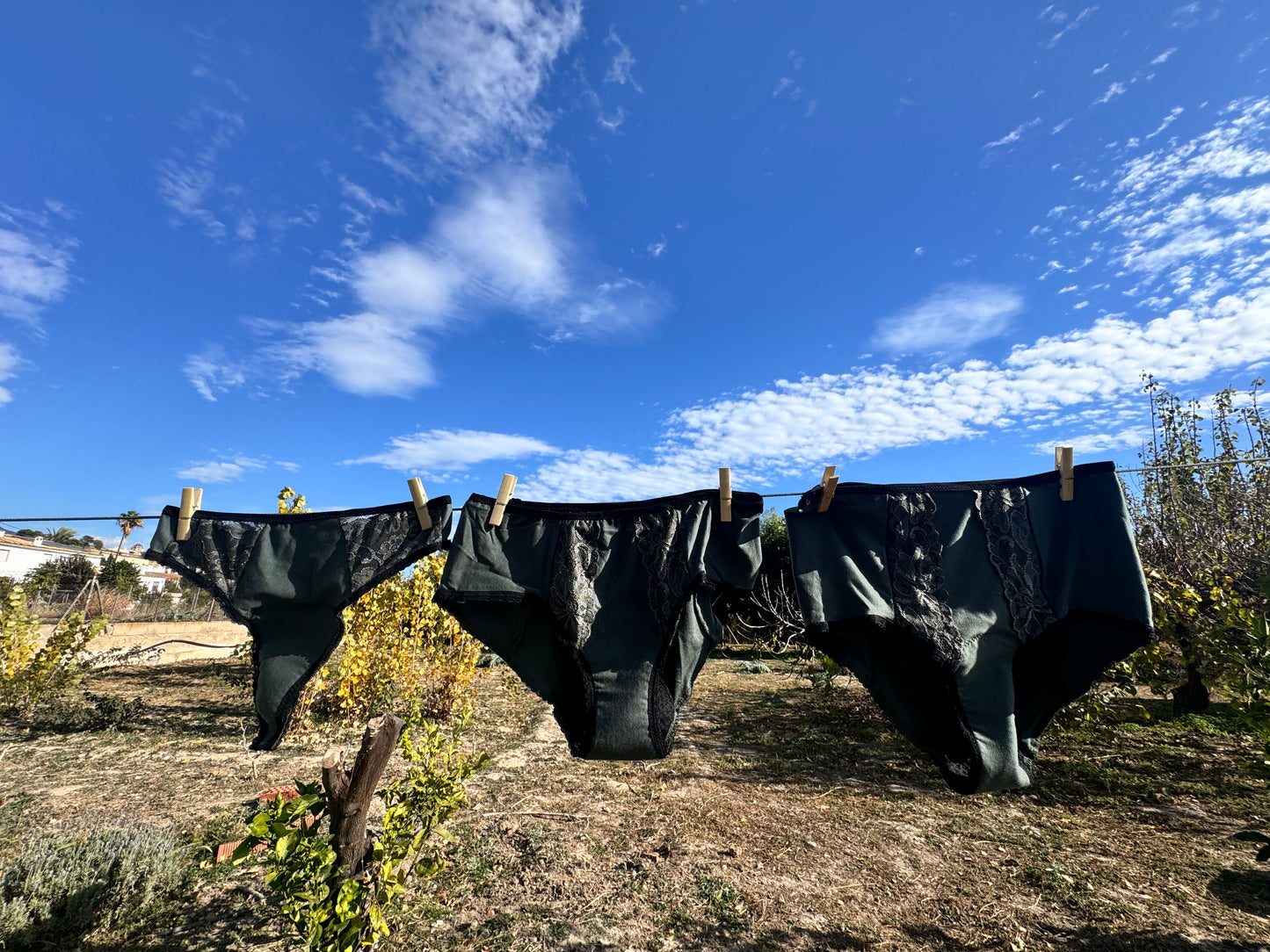 Period underwear hipster